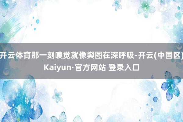 开云体育那一刻嗅觉就像舆图在深呼吸-开云(中国区)Kaiyun·官方网站 登录入口