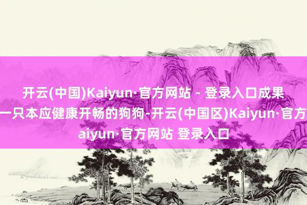 开云(中国)Kaiyun·官方网站 - 登录入口成果可能会怎样？一只本应健康开畅的狗狗-开云(中国区)Kaiyun·官方网站 登录入口