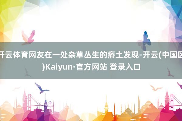 开云体育网友在一处杂草丛生的瘠土发现-开云(中国区)Kaiy