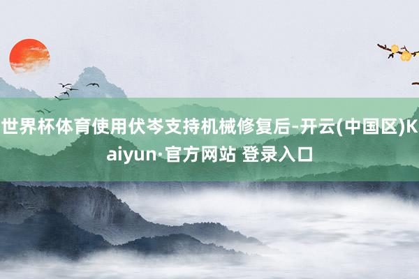 世界杯体育使用伏岑支持机械修复后-开云(中国区)Kaiyun