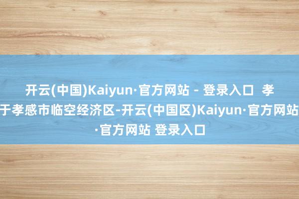 开云(中国)Kaiyun·官方网站 - 登录入口  孝感方特