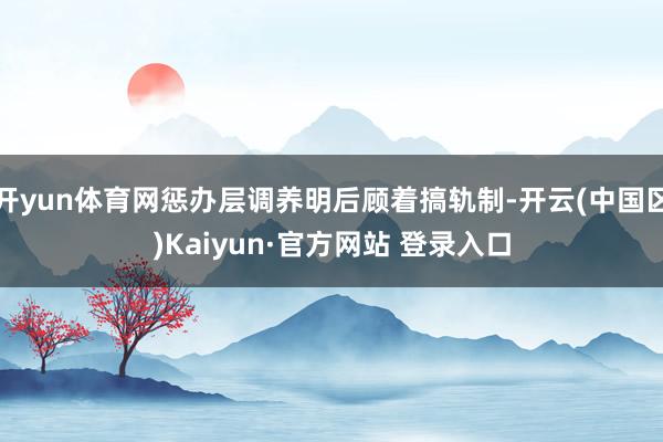 开yun体育网惩办层调养明后顾着搞轨制-开云(中国区)Kai