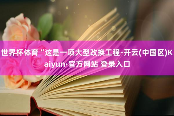 世界杯体育“这是一项大型改换工程-开云(中国区)Kaiyun