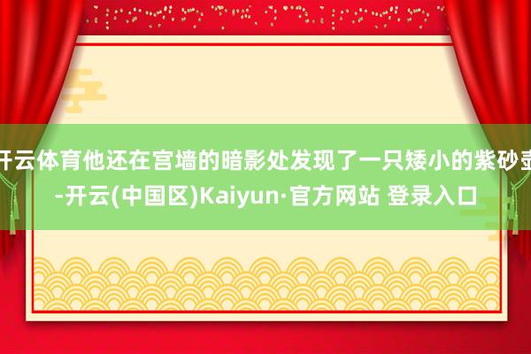 开云体育他还在宫墙的暗影处发现了一只矮小的紫砂壶-开云(中国